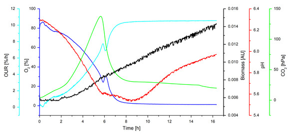 初尝人妻滑进去了莹莹视频