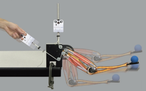 初尝人妻滑进去了莹莹视频