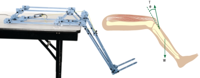 初尝人妻滑进去了莹莹视频