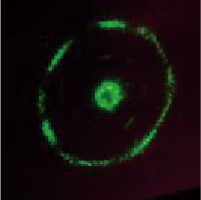 初尝人妻滑进去了莹莹视频