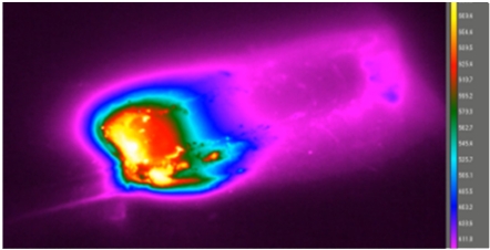 初尝人妻滑进去了莹莹视频