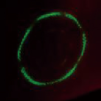 初尝人妻滑进去了莹莹视频