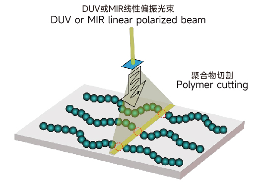初尝人妻滑进去了莹莹视频
