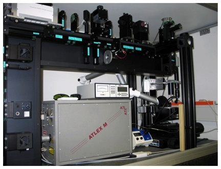 初尝人妻滑进去了莹莹视频