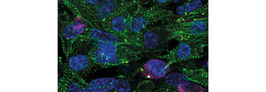 初尝人妻滑进去了莹莹视频