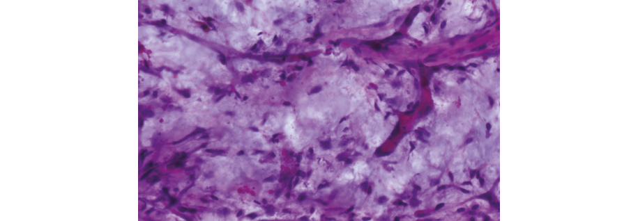 初尝人妻滑进去了莹莹视频