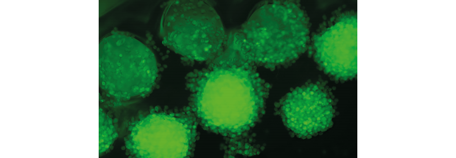 初尝人妻滑进去了莹莹视频