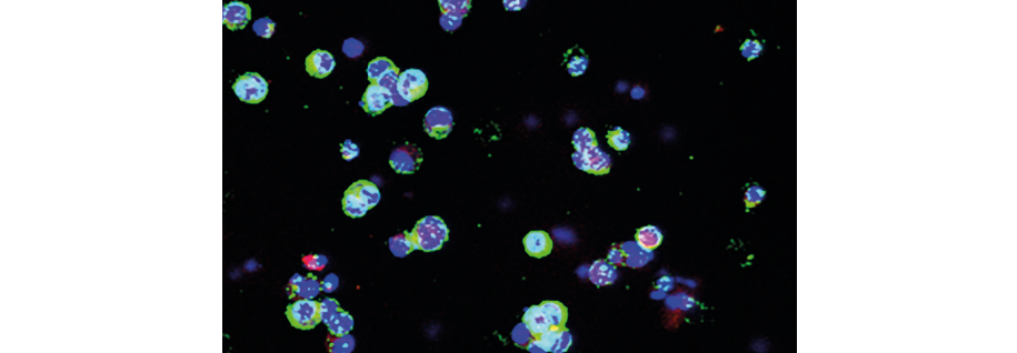 初尝人妻滑进去了莹莹视频