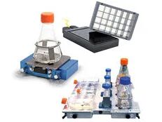 初尝人妻滑进去了莹莹视频